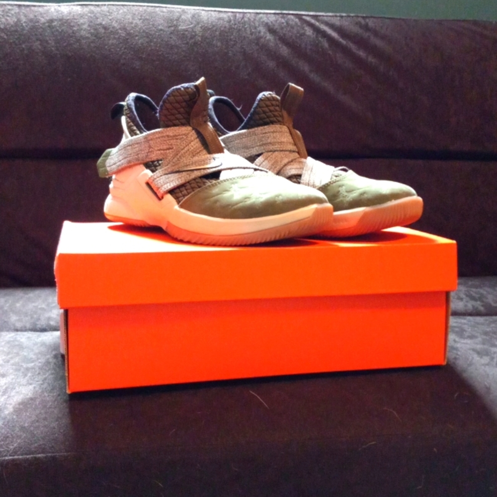 Lebron Soldier XII Land and sea